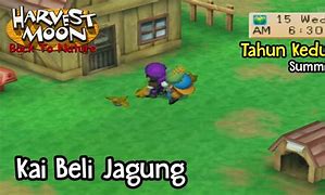 Jual Jagung Ke Kai Harvest Moon